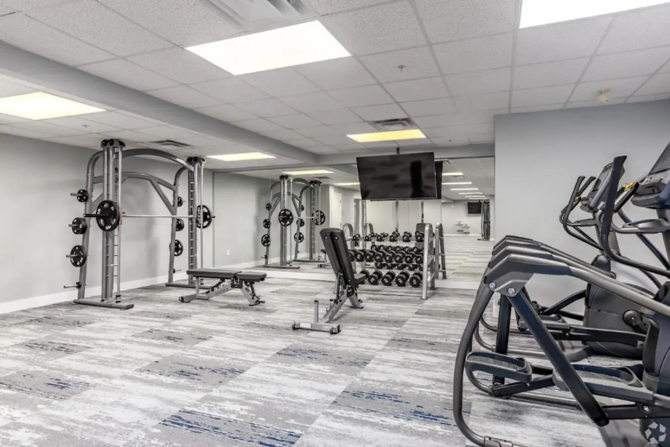 Urban Oasis - Balcony, Free Parking, Views, Gym Apartment Charlotte 0*,  United States